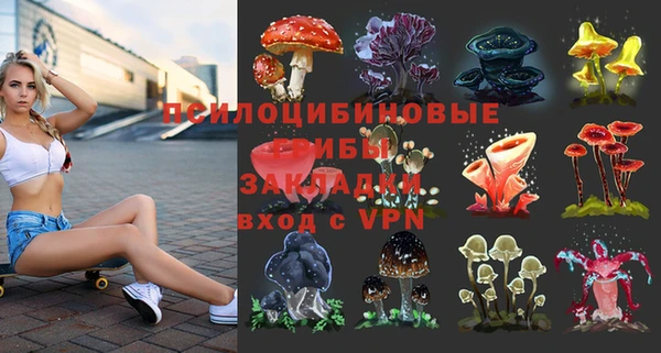 молекула духа Бронницы