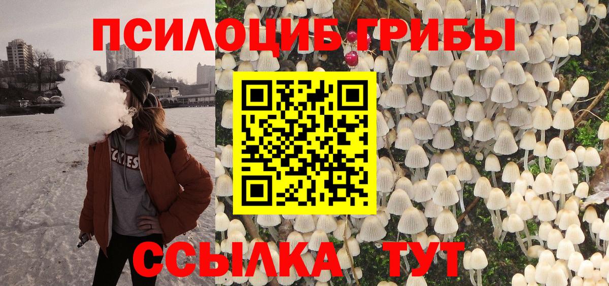 Галлюциногенные грибы мицелий  Вход с VPN  Вичуга  Псилоцибиновые грибы Psilocybe 
