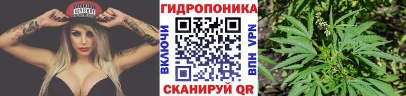 купить наркотики сайты  МЕГА tor  МАРИХУАНА OG Kush  Вичуга 